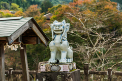 狛犬@陶山神社