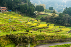江里山棚田