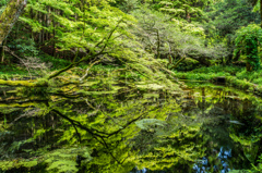 山吹水源-2