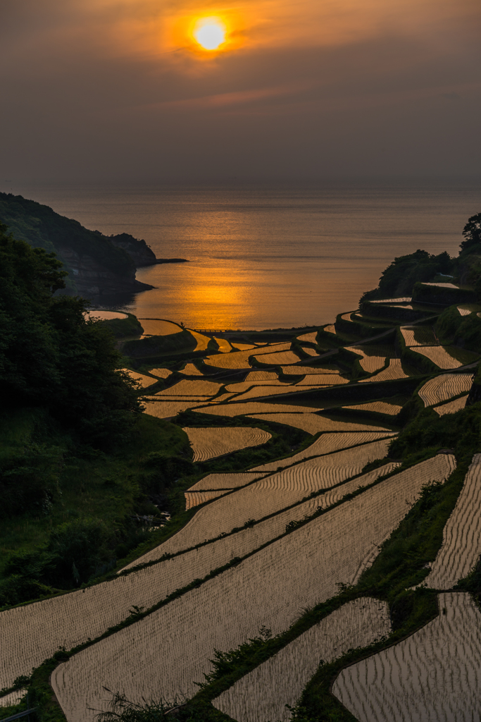 浜野浦2014.05.09-05