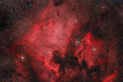 NGC7000_2019.08.04