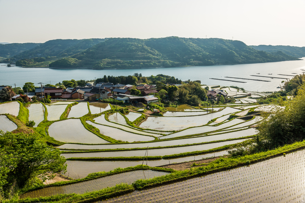 瓜ヶ坂の棚田-2