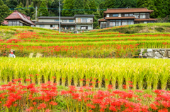 相棒