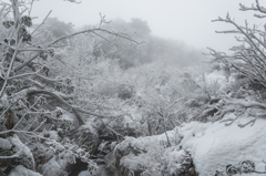 霧氷沢にて-6