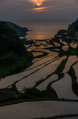 浜野浦2014.05.09-07