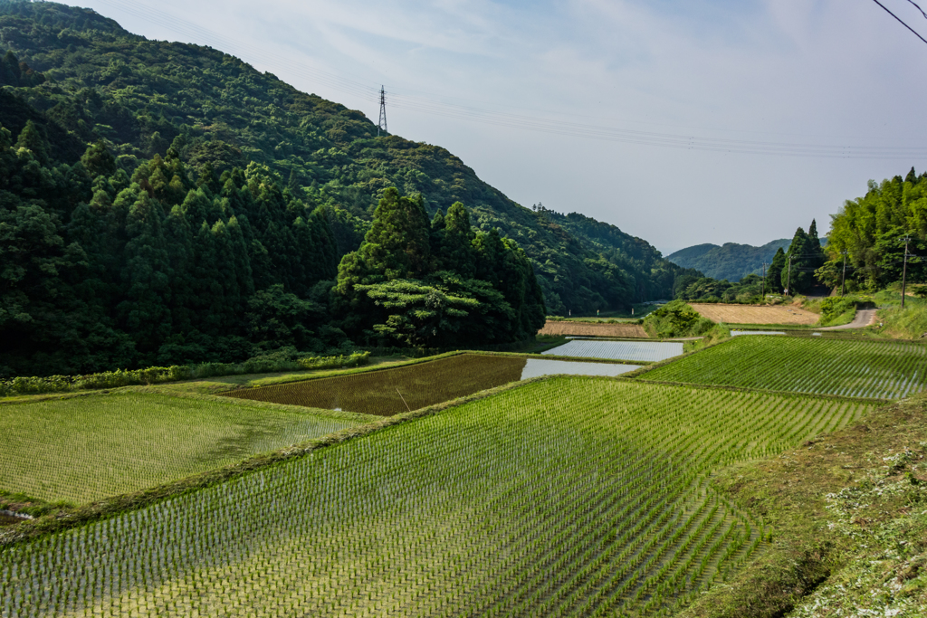 山間の棚田