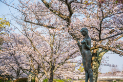 桜と少女像-1