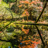 山吹水源-2