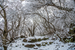 鬼人谷の登山道