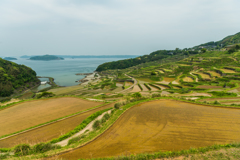 土谷棚田-1