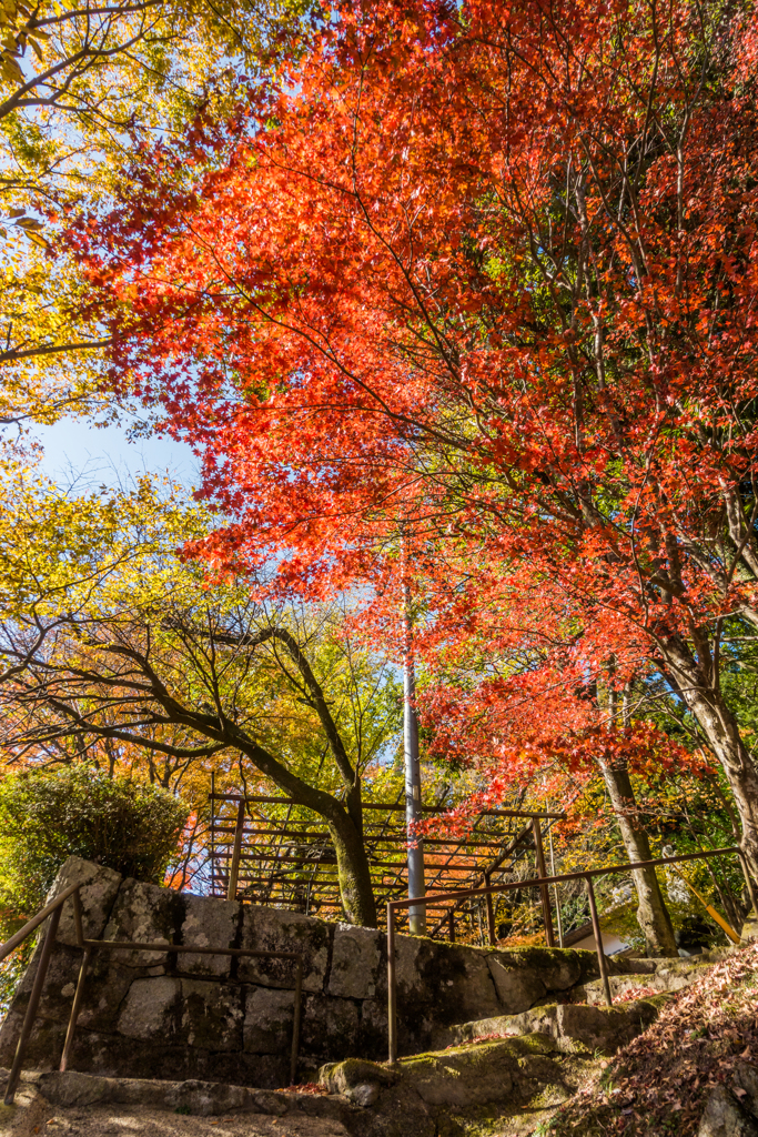 天川若宮神社-1