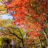 天川若宮神社-1