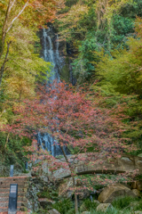 清水の滝の紅葉-3