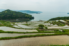 土谷棚田-2