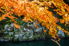 雄淵雌淵の紅葉-4