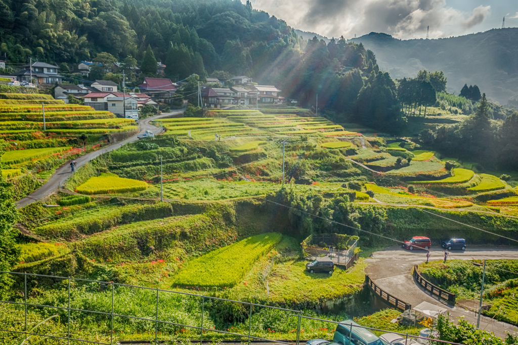 江里山棚田-2