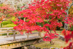 多久西渓公園-4