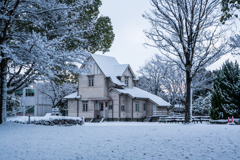 雪の朝の洋館