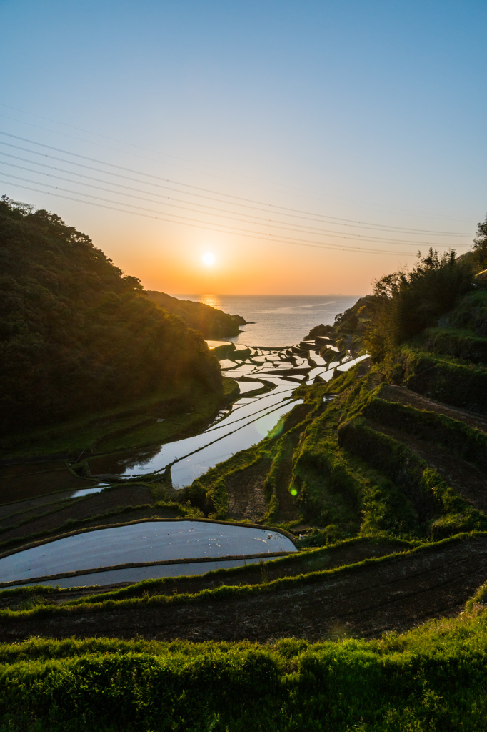 青空、太陽、棚田