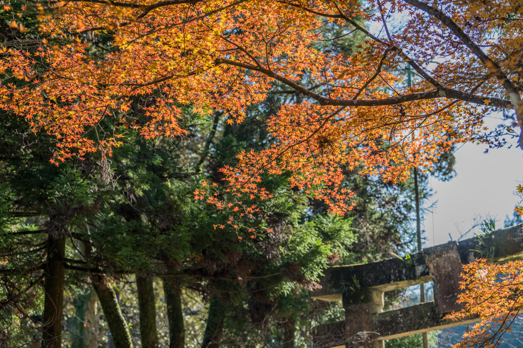 多久八幡神社鳥居前