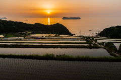 納所2015.05.01_1847