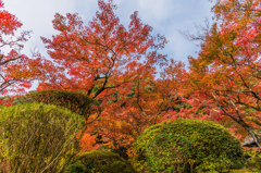 九年庵-主屋手前_2014.11.20