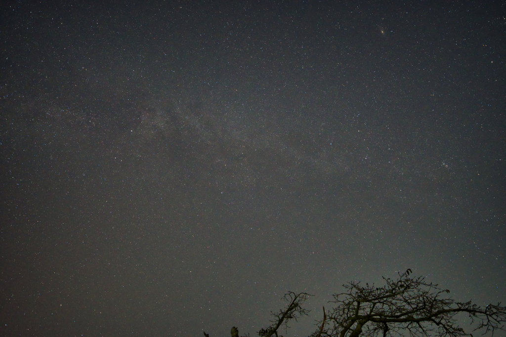 test_24mm_F2.8