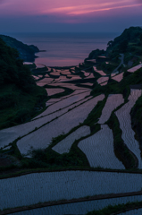 浜野浦2014.05.09-15