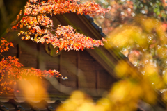杉山白石神社-7