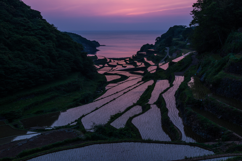 浜野浦2014.05.09-17