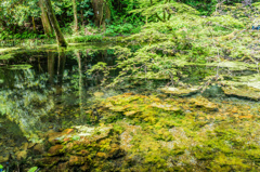 山吹水源-5