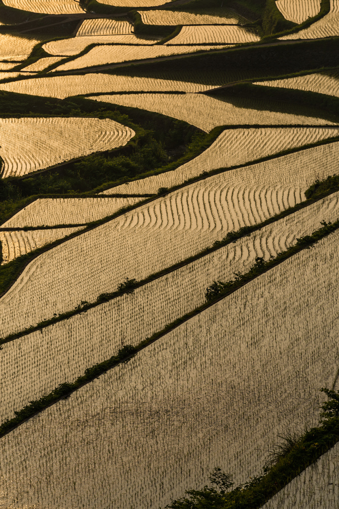 浜野浦2014.05.09-02