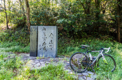 人に逢わず雨ふる山の花盛