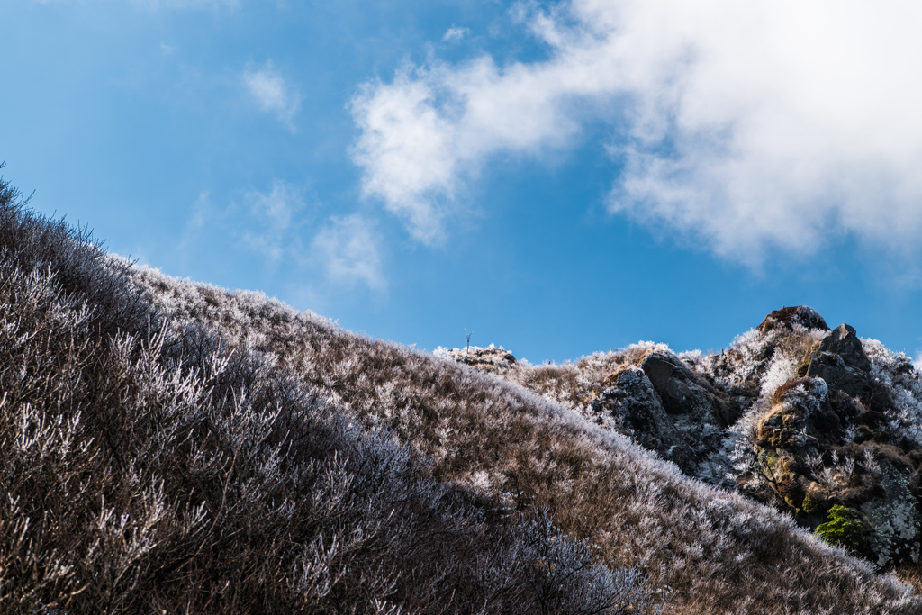 鳩穴分かれの霧氷