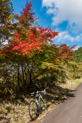 紅葉とバイク