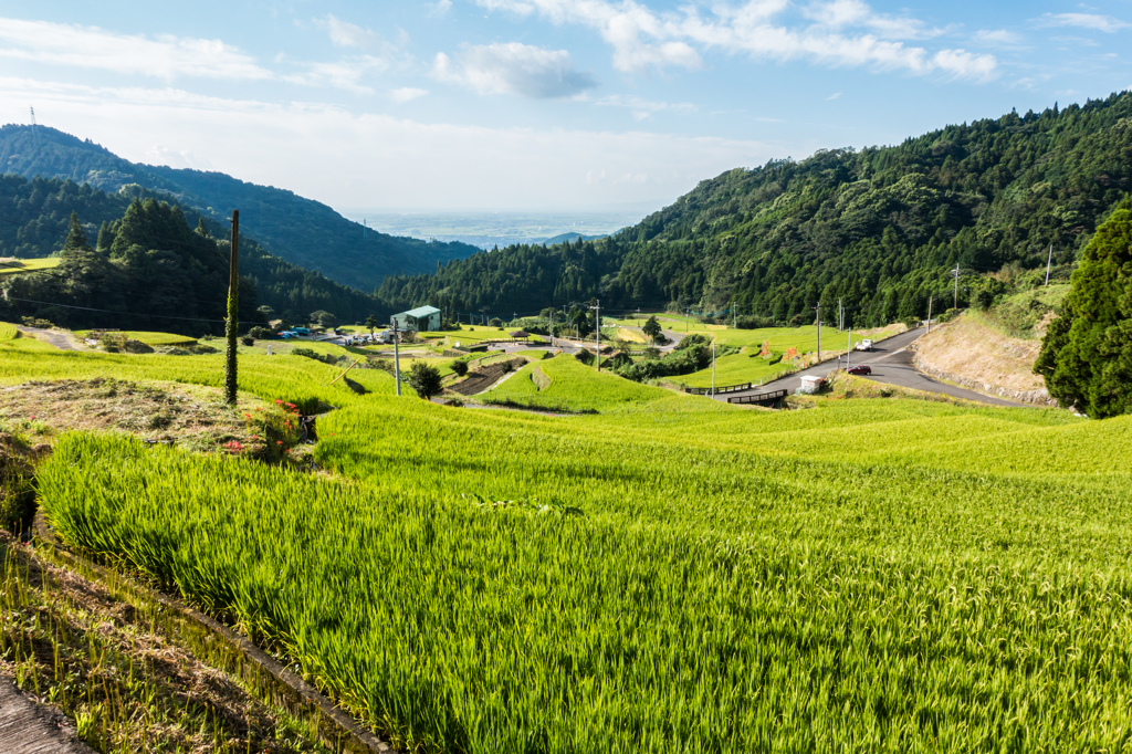 江里山の棚田-1