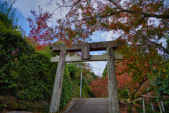 仁比山神社-1