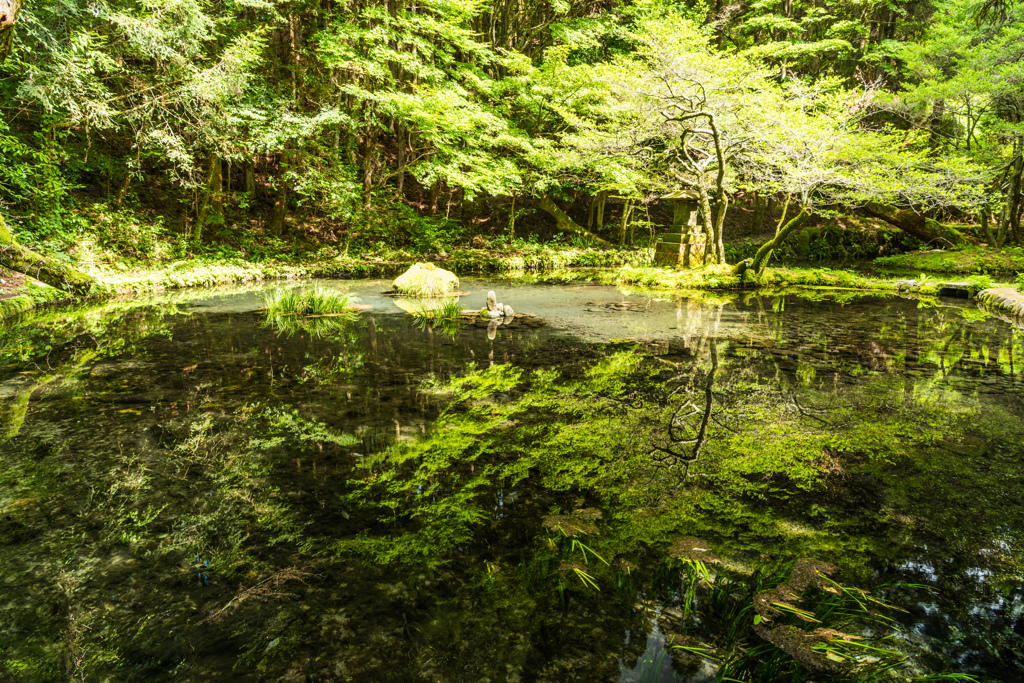 山吹水源-1