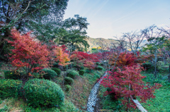 西渓公園-4