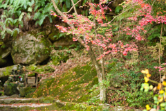 仁比山神社-3