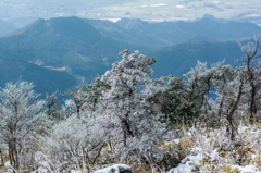 天山の霧氷-5