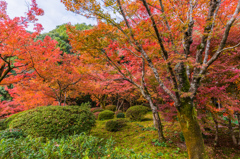 九年庵-主屋前の庭_2014.11.20-1