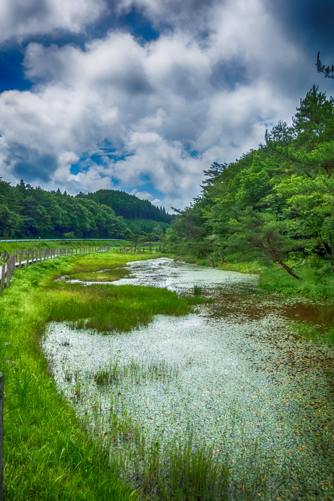 樫原湿原-1