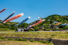 塩田町の鯉のぼり