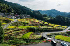 江里山棚田全景