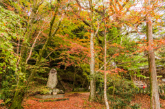 月夜見命塔@仁比山神社