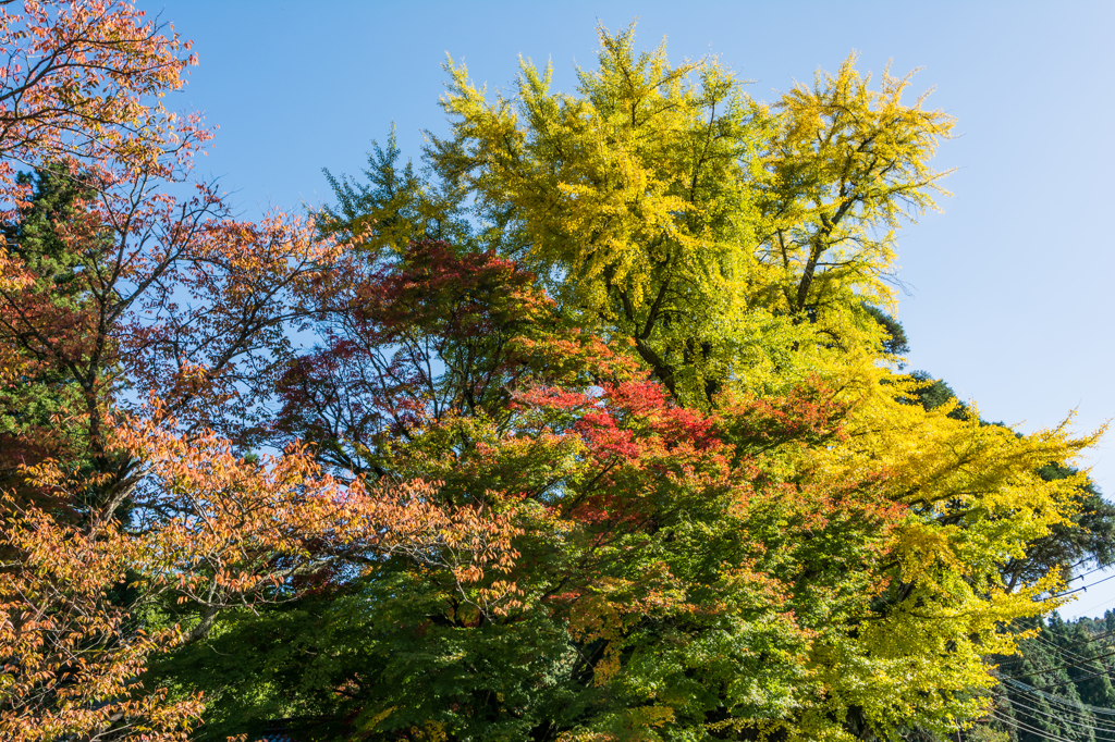杉山白石神社-2