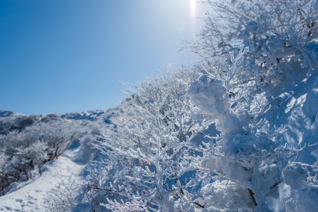 登山道と霧氷
