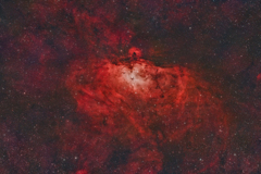 M16_2023.06.15