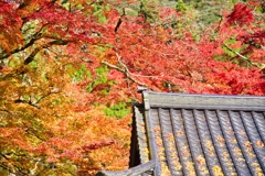 杉山白石神社-8